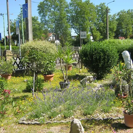 Kitti * Balatonboglár